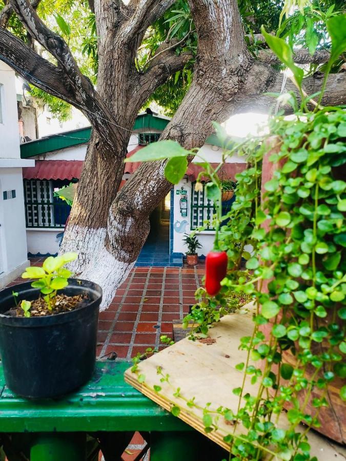 Tita'S Airport Hotel Cartagena المظهر الخارجي الصورة