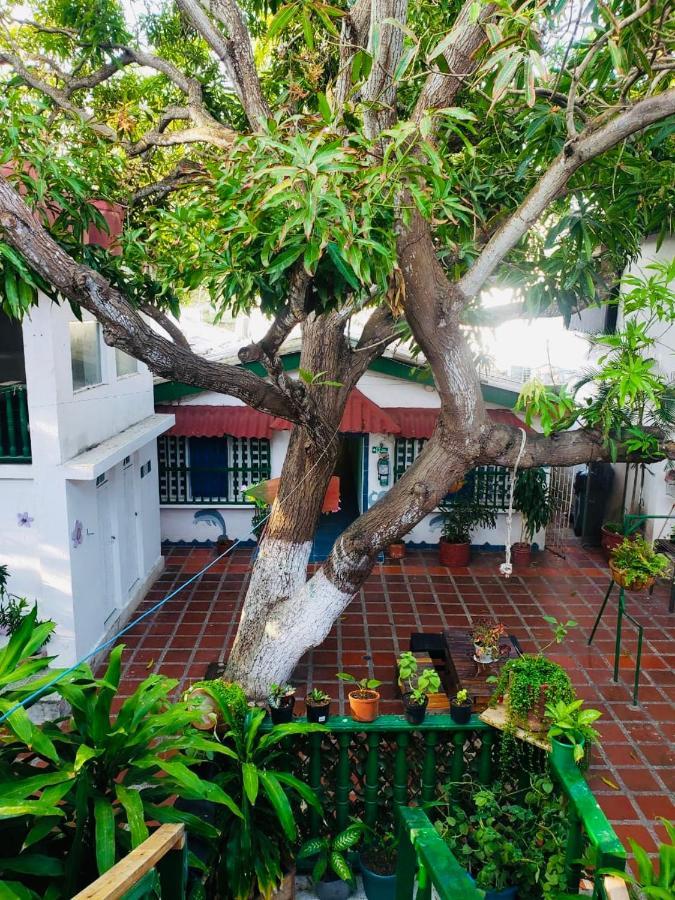 Tita'S Airport Hotel Cartagena المظهر الخارجي الصورة